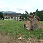 Kamzik Apartmán Donovaly