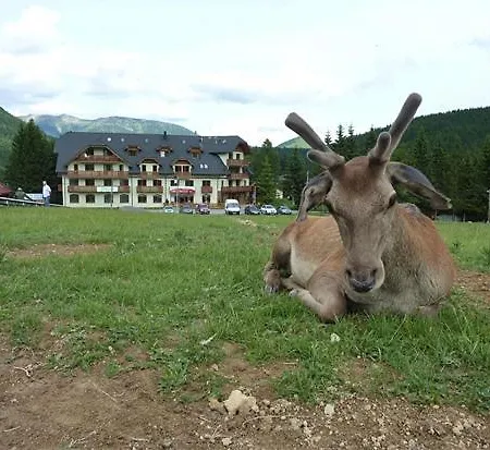 Kamzík Apartmán Donovaly