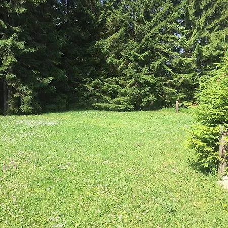 Kamzik شقة دونوفالي